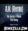 AM Remix Letra Song Download 2021