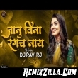 Janu Vina Rangach Nay Marathi Dj Remix Song Download