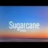 Sugarcane Remix Song Download