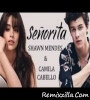 Senorita (Hopex Remix) Shawn Mendes Camila Cabello